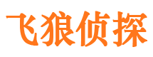 安居飞狼私家侦探公司